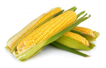Kukurūza un graudaugi ()